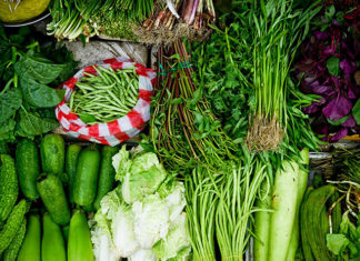 Uprawa w tunelu foliowym w zimie – czy to możliwe?