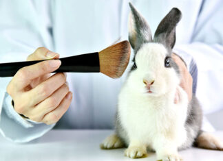 Które kosmetyki nie są testowane na zwierzętach