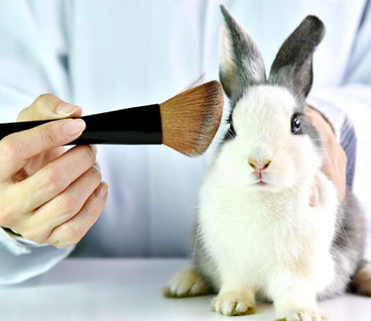 Które kosmetyki nie są testowane na zwierzętach