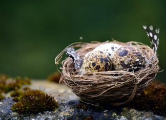 Jak przewiercić się przez zbrojenie?